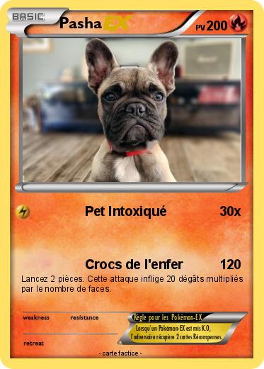 Pokemon Pasha