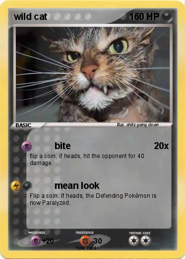 Pokemon wild cat