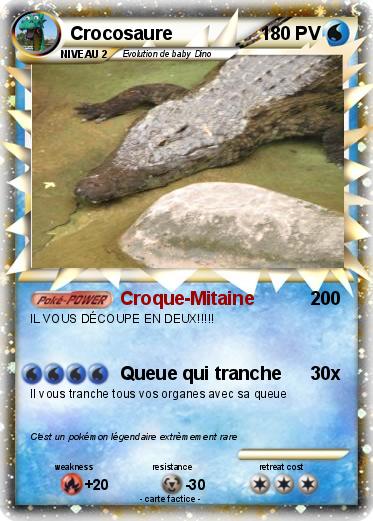 Pokemon Crocosaure