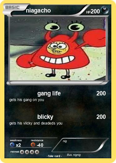 Pokemon niagacho