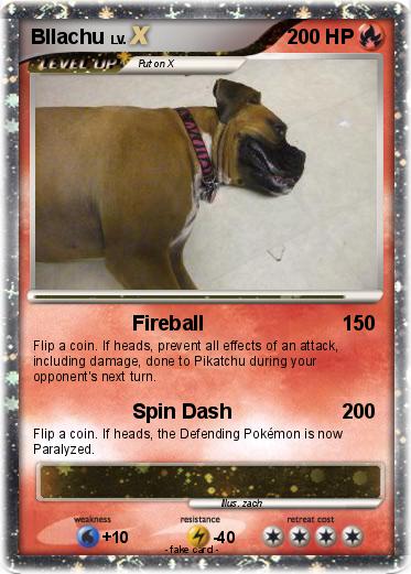Pokemon Bllachu