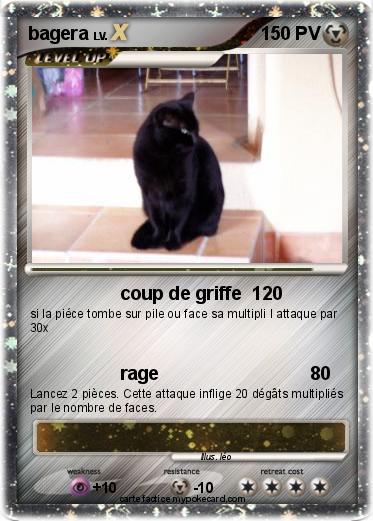 Pokemon bagera