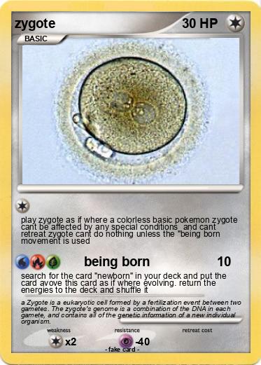 Pokemon zygote