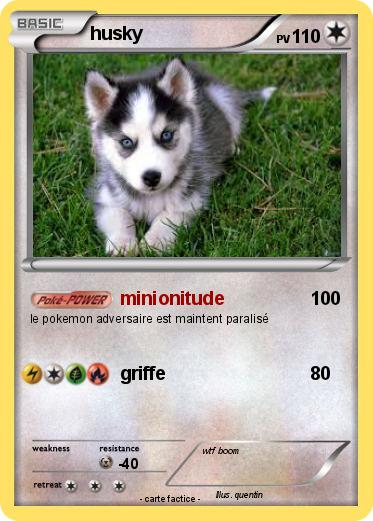 Pokemon husky