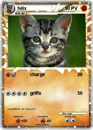 Pokemon felix