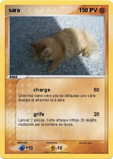 Pokemon sara