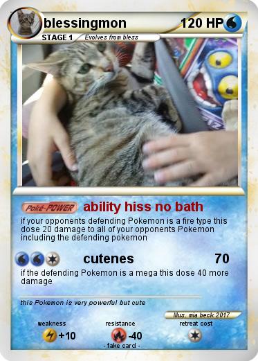 Pokemon blessingmon