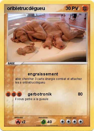 Pokemon oribletrucdégueu