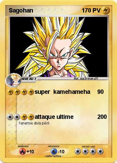 Pokemon Sagohan