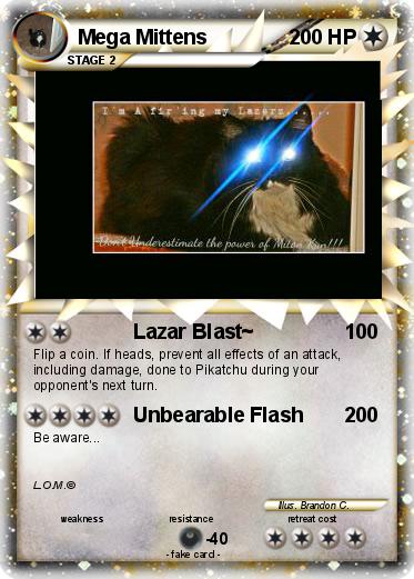 Pokemon Mega Mittens