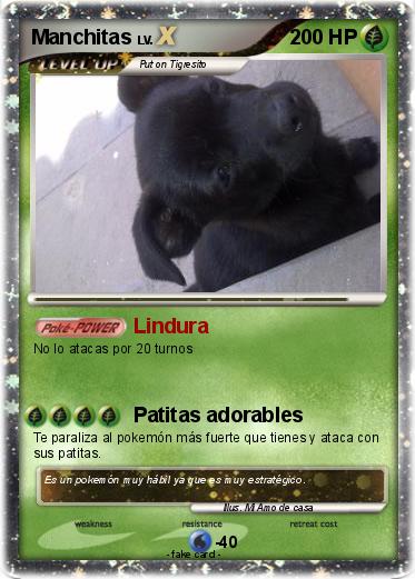 Pokemon Manchitas