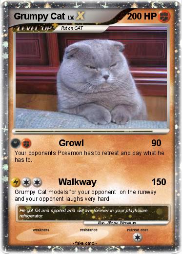 Pokemon Grumpy Cat