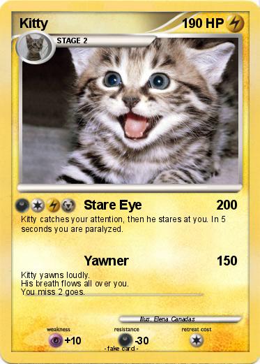 Pokemon Kitty