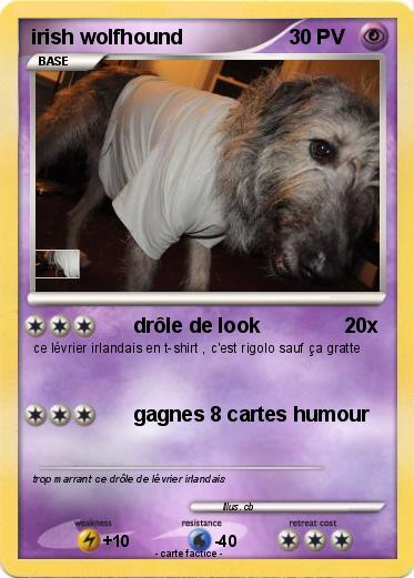 Pokemon irish wolfhound