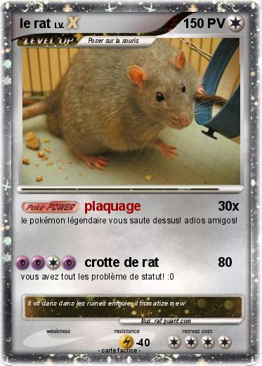 Pokemon le rat