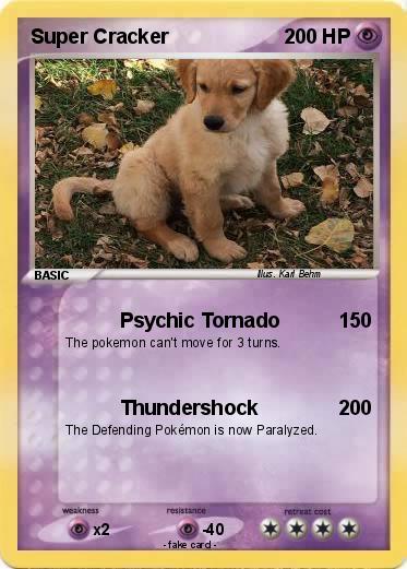 Pokemon Super Cracker