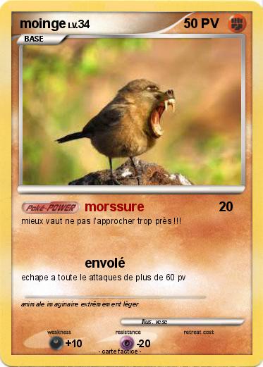 Pokemon moinge