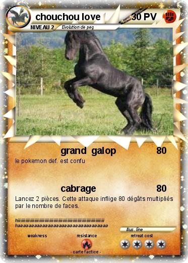 Pokemon chouchou love