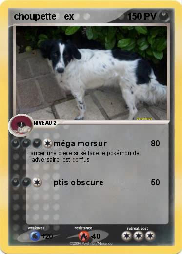 Pokemon choupette   ex