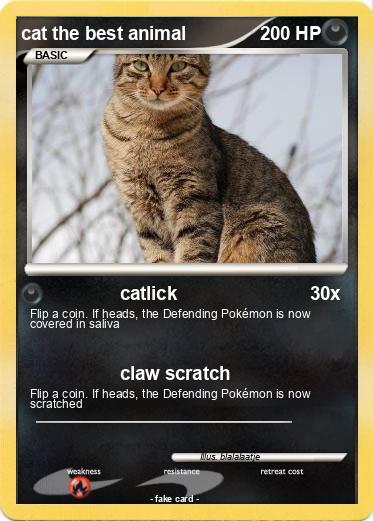 Pokemon cat the best animal
