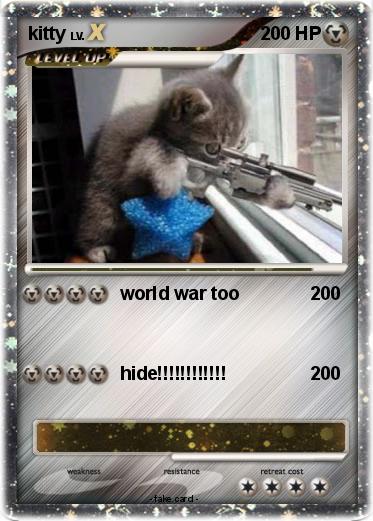 Pokemon kitty