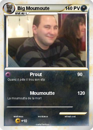 Pokemon Big Moumoute