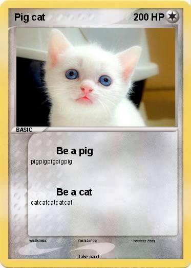 Pokemon Pig cat