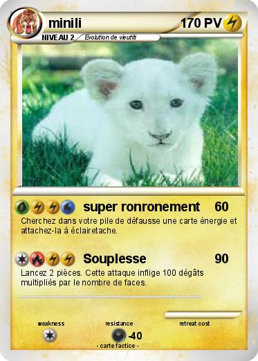 Pokemon minili