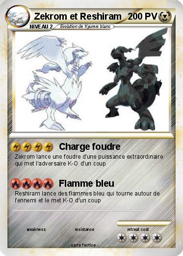 Pokemon Zekrom et Reshiram