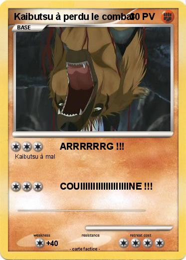 Pokemon Kaibutsu à perdu le combat