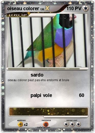 Pokemon oiseau colorer