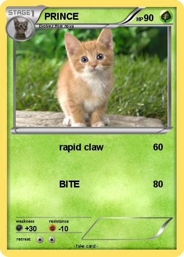 Pokemon PRINCE