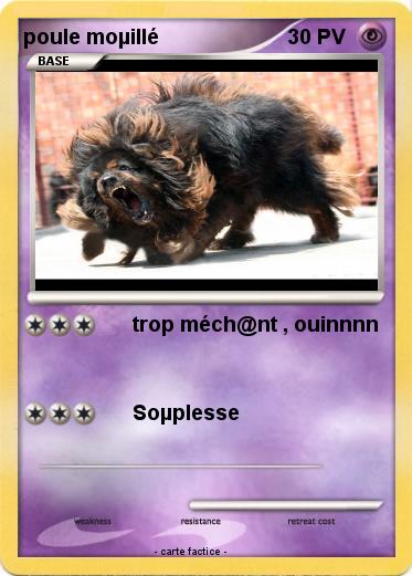 Pokemon poule moµillé