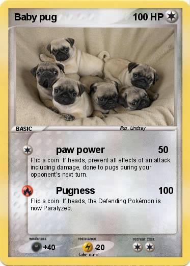 Pokemon Baby pug