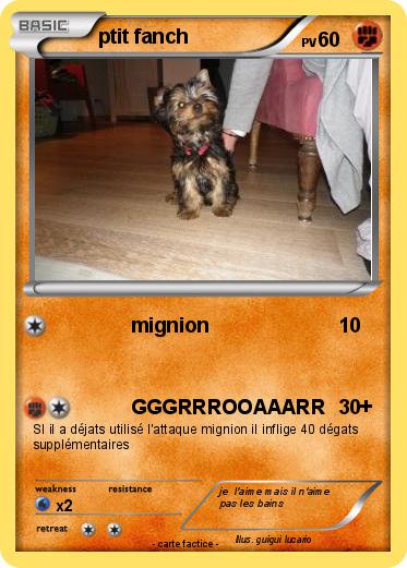 Pokemon ptit fanch