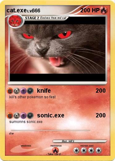 Pokemon cat.exe