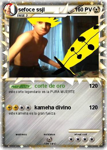 Pokemon sefoce ssjl