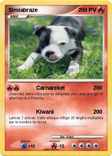 Pokemon Simiabraze