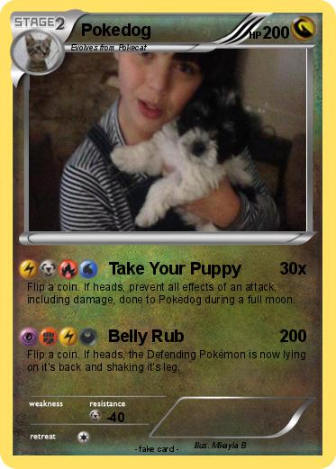 Pokemon Pokedog