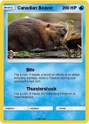 Pokemon Canadian Beaver
