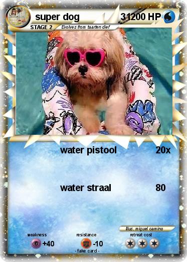 Pokemon super dog                31