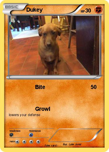 Pokemon Dukey