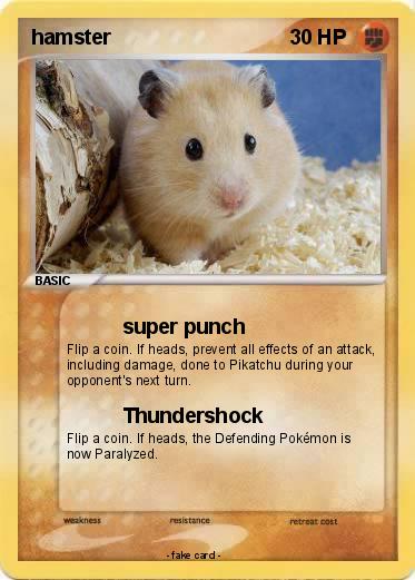 Pokemon hamster