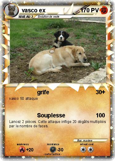 Pokemon vasco ex
