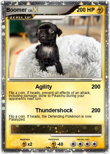 Pokemon Boomer