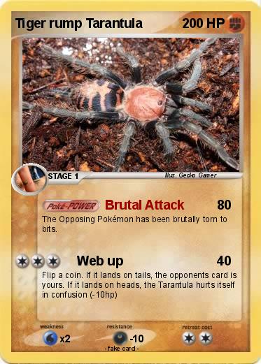 Pokemon Tiger rump Tarantula