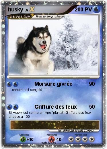 Pokemon husky