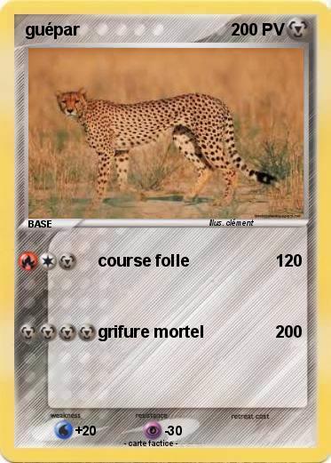 Pokemon guépar