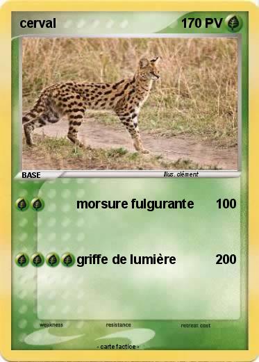 Pokemon cerval