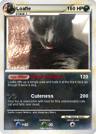 Pokemon Loafie